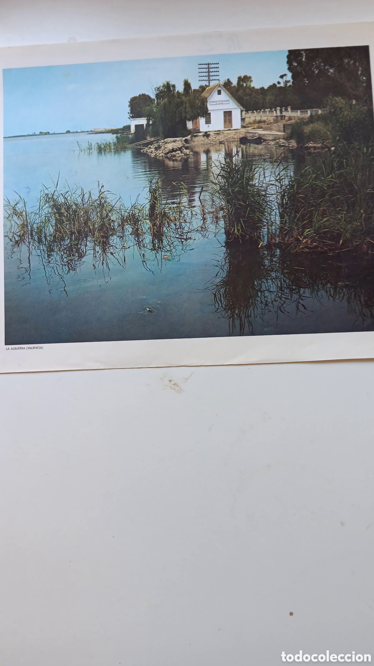 Coleccionismo: L&Aacute;MINAS PARA CUADROS . LA ALBUFERA (VALENCIA)