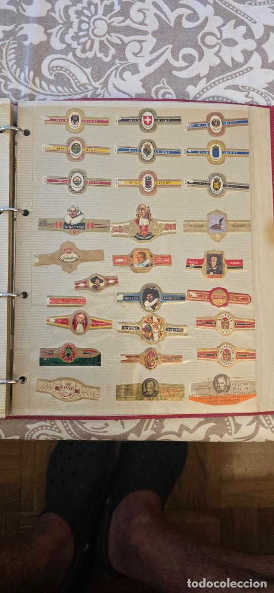 Coleccionismo: Colecci&oacute;n de Vitolas - Foto 3