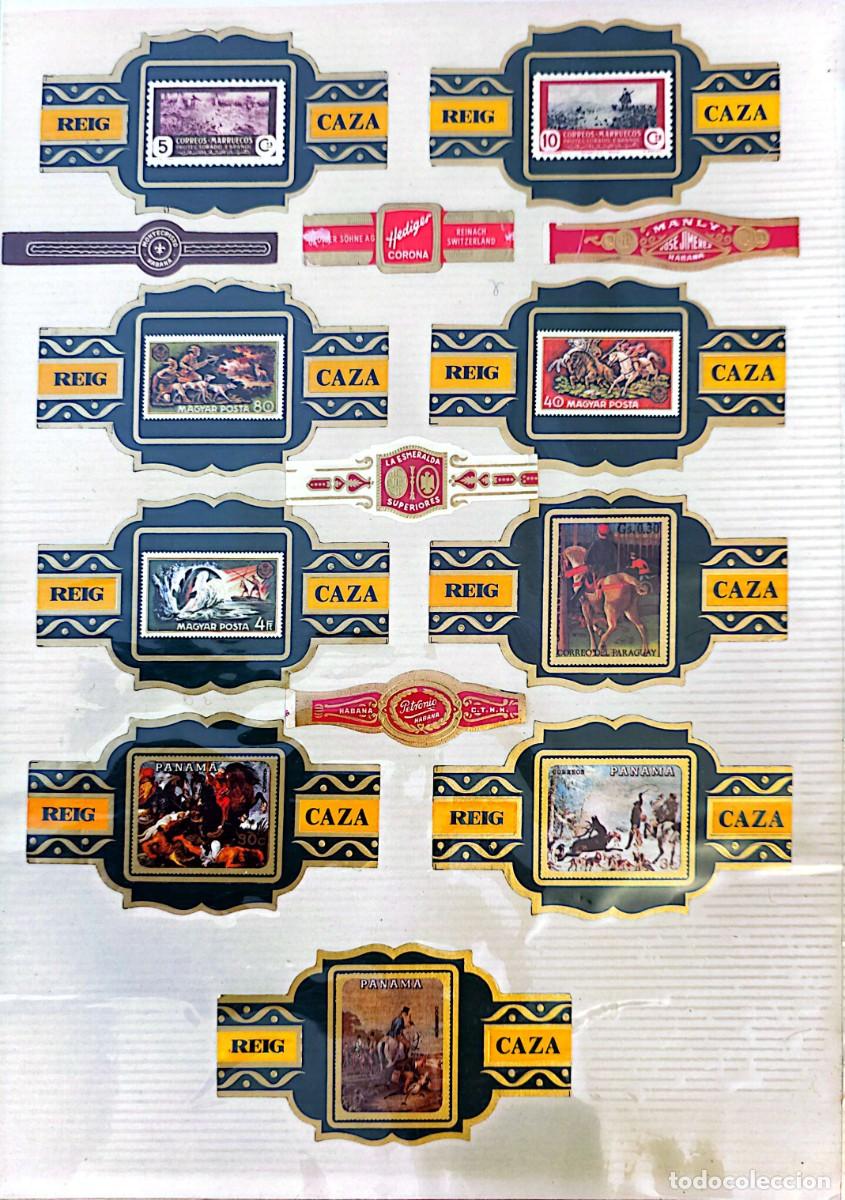 Coleccionismo: Colecci&oacute;n de Vitolas - Foto 15