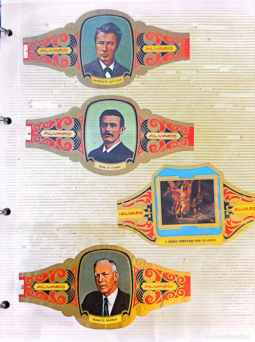 Coleccionismo: Colecci&oacute;n de Vitolas - Foto 24