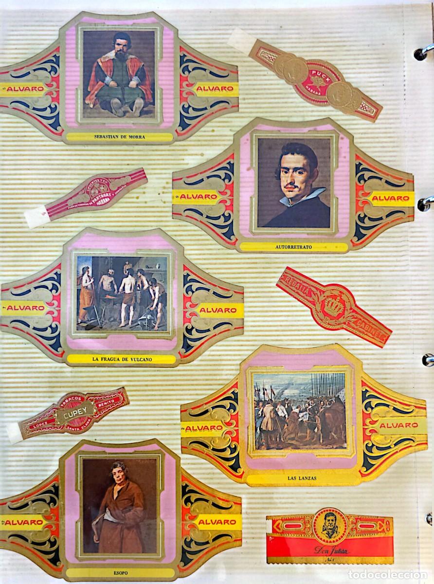 Coleccionismo: Colecci&oacute;n de Vitolas - Foto 25