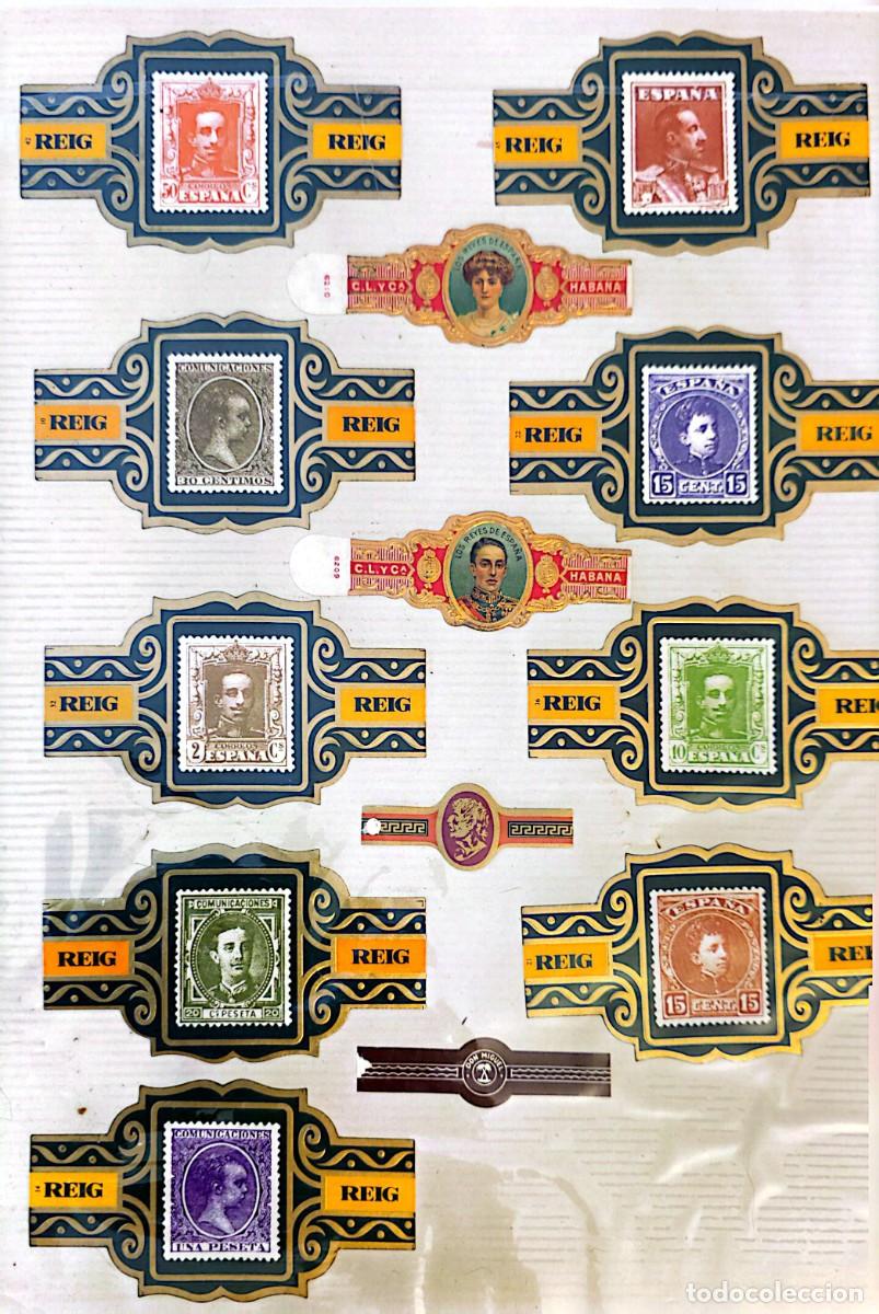 Coleccionismo: Colecci&oacute;n de Vitolas - Foto 26