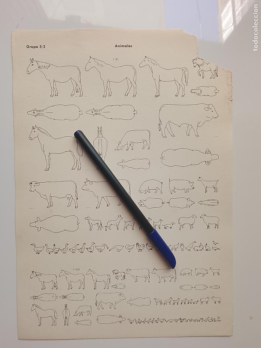 Collectionnisme: antigua lamina original para enmarcar arquitectura - animales falta una esquinita ver foto