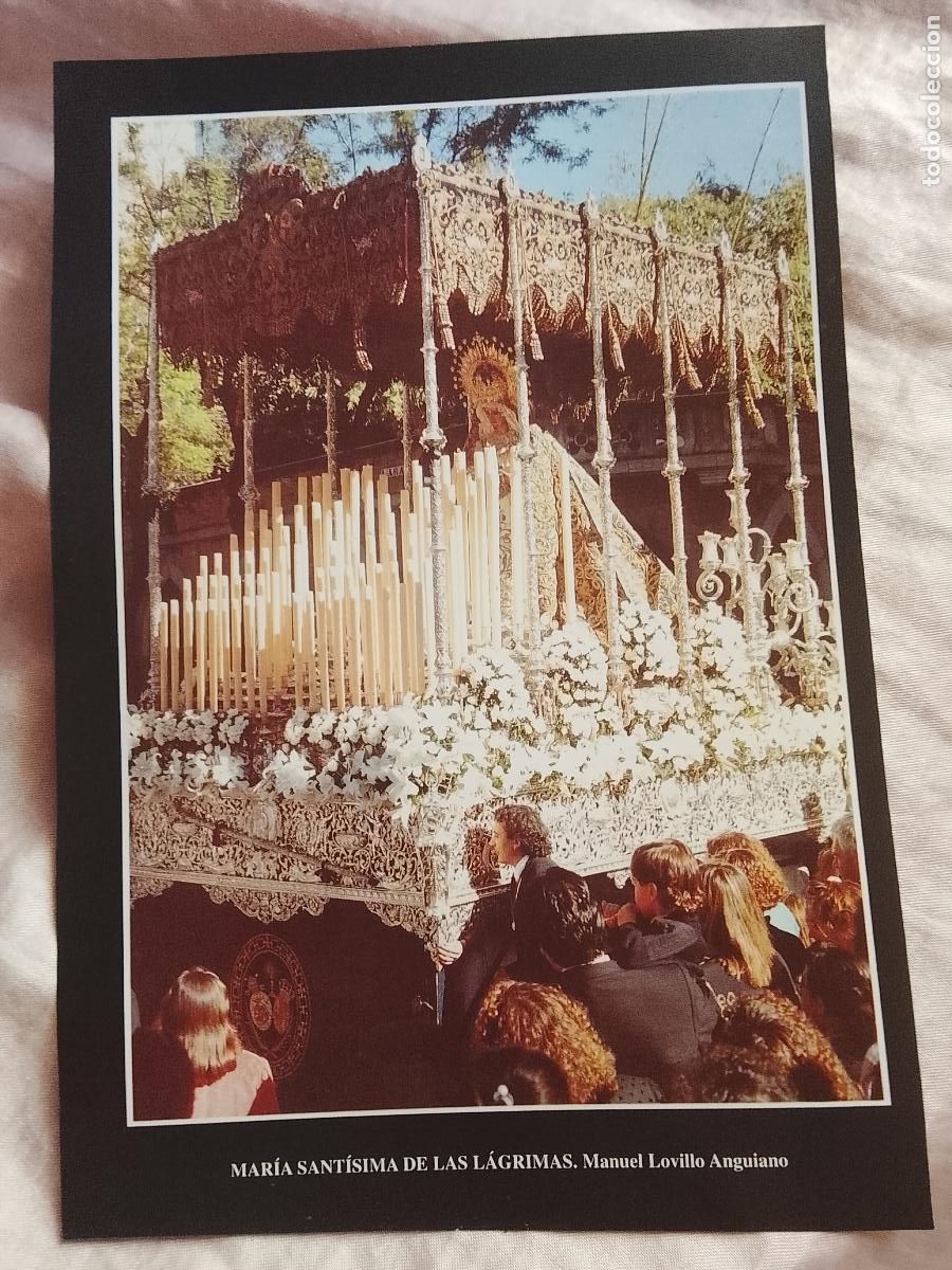 Collectionnisme: 24,5x16,5 cm lamina RELIGIOSA color semana santa sevilla - VIRGEN DE LAS LAGRIMAS