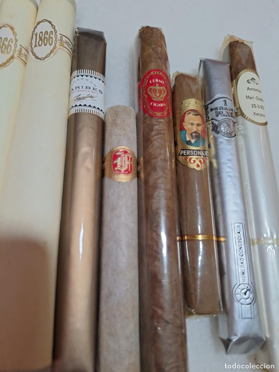 Coleccionismo: C 45-- 11 puros diferentes marcas. - Foto 3