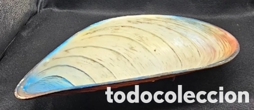 Coleccionismo: Fuente con forma de mejill&oacute;n - Foto 4
