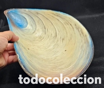 Coleccionismo: Fuente con forma de mejill&oacute;n - Foto 1