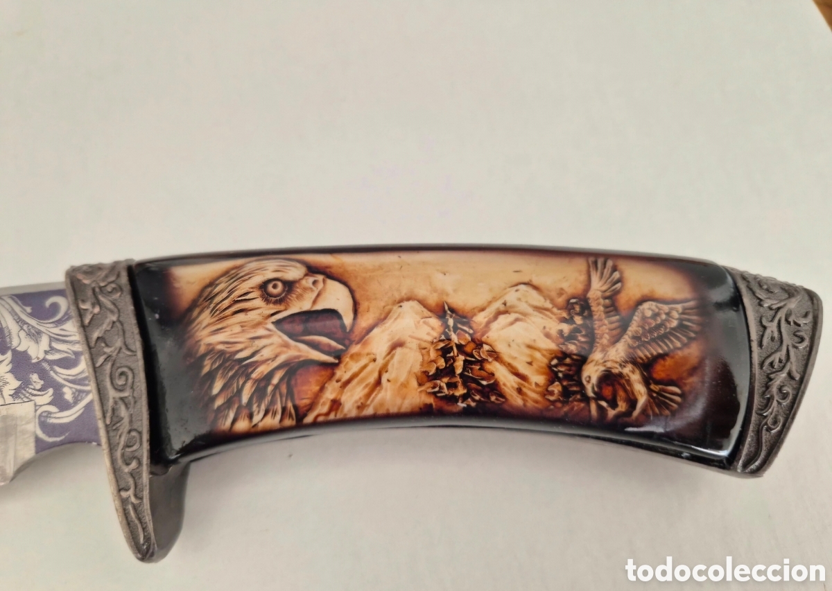 Coleccionismo: Cuchillo &aacute;guilas decorativo - Foto 7
