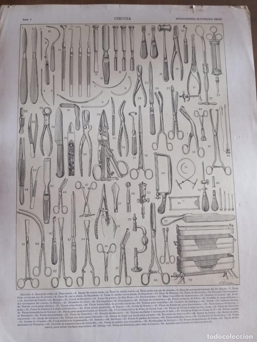 Collezionismo: L&Aacute;MINAS DE CIRUGIA, ENCICLOPEDIA ILUSTRADA SEGU&Iacute;