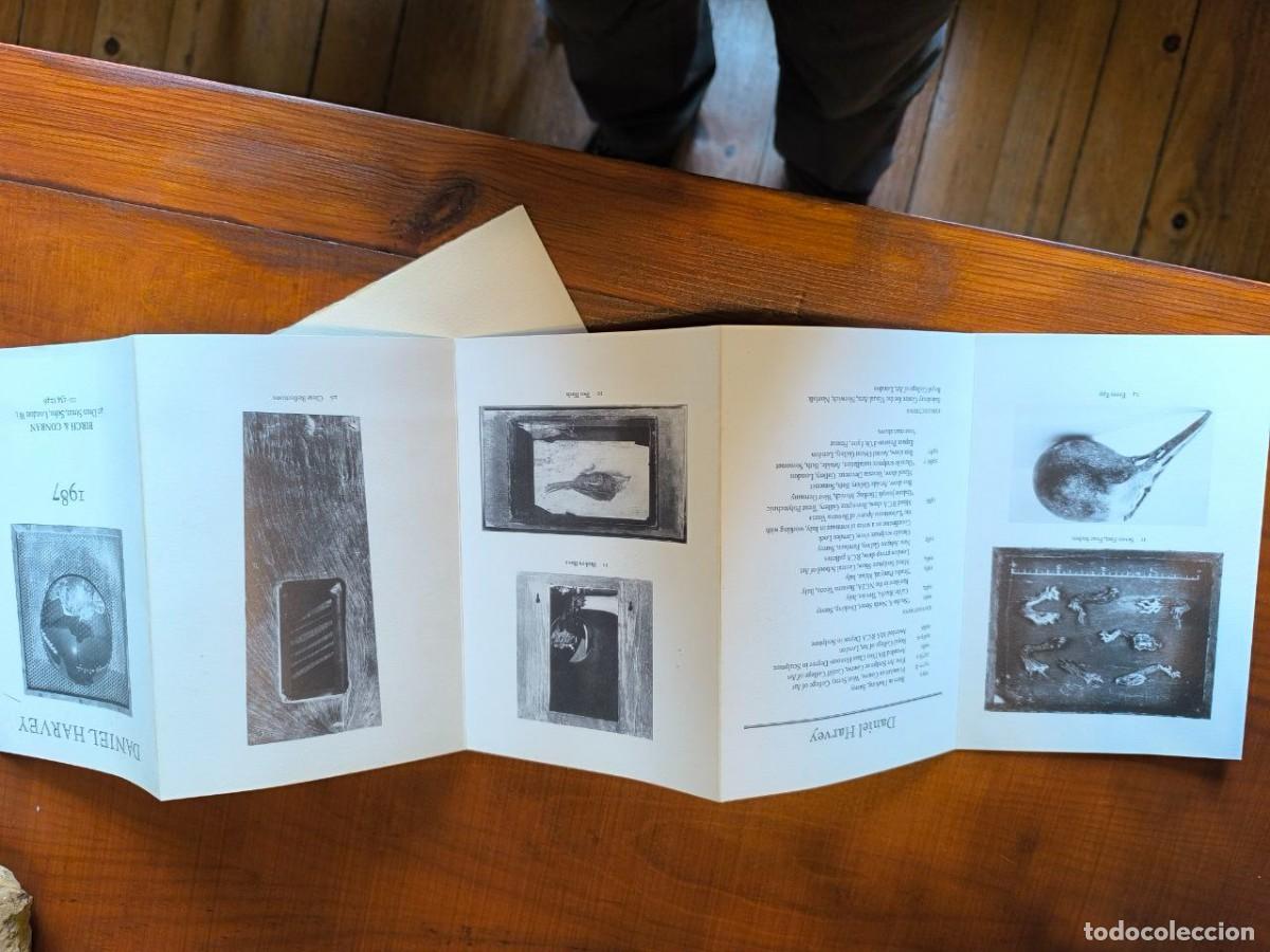 Coleccionismo: DANIEL HARVER DOS CAT&Aacute;LOGOS PROGRAMAS DE EXPOSICIONES DE 1987 BIRCH & CONRAN EN JUNIO Y JULIO - Foto 2