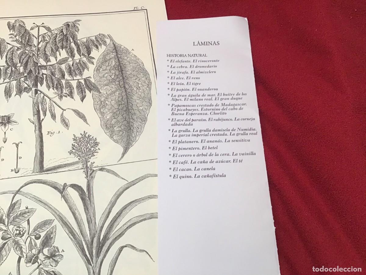 Coleccionismo: RECUEIL DE PLANCHES (Entrega 1 y 3) 32 l&aacute;minas - Foto 5