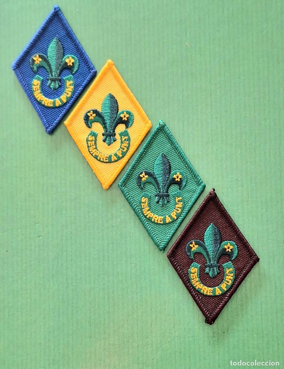 Coleccionismo: ACS INSIGNIAS SCOUTER 2004 - Foto 1