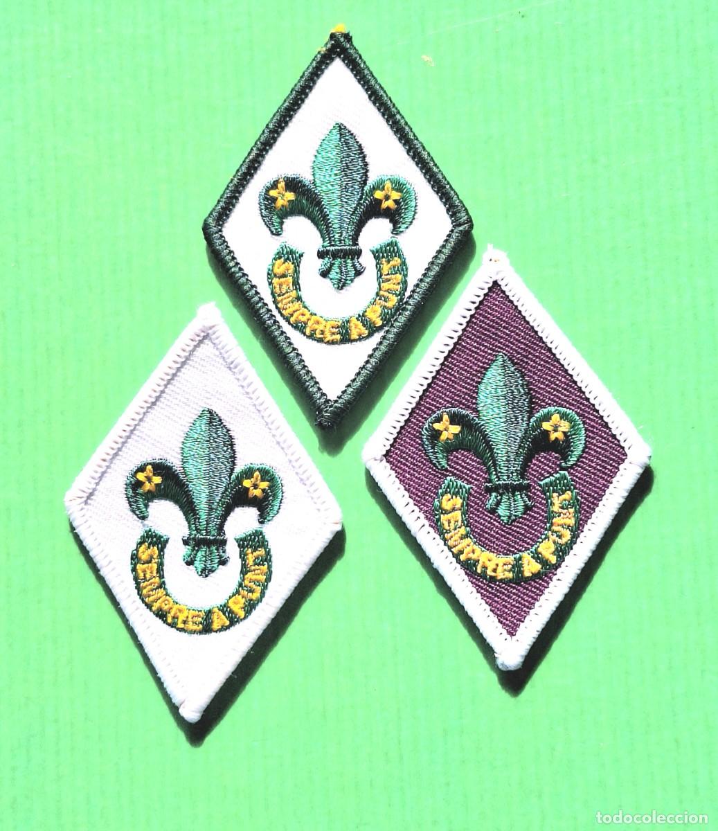 Coleccionismo: ACS INSIGNIAS DE SCOUTERS 2004 - Foto 1