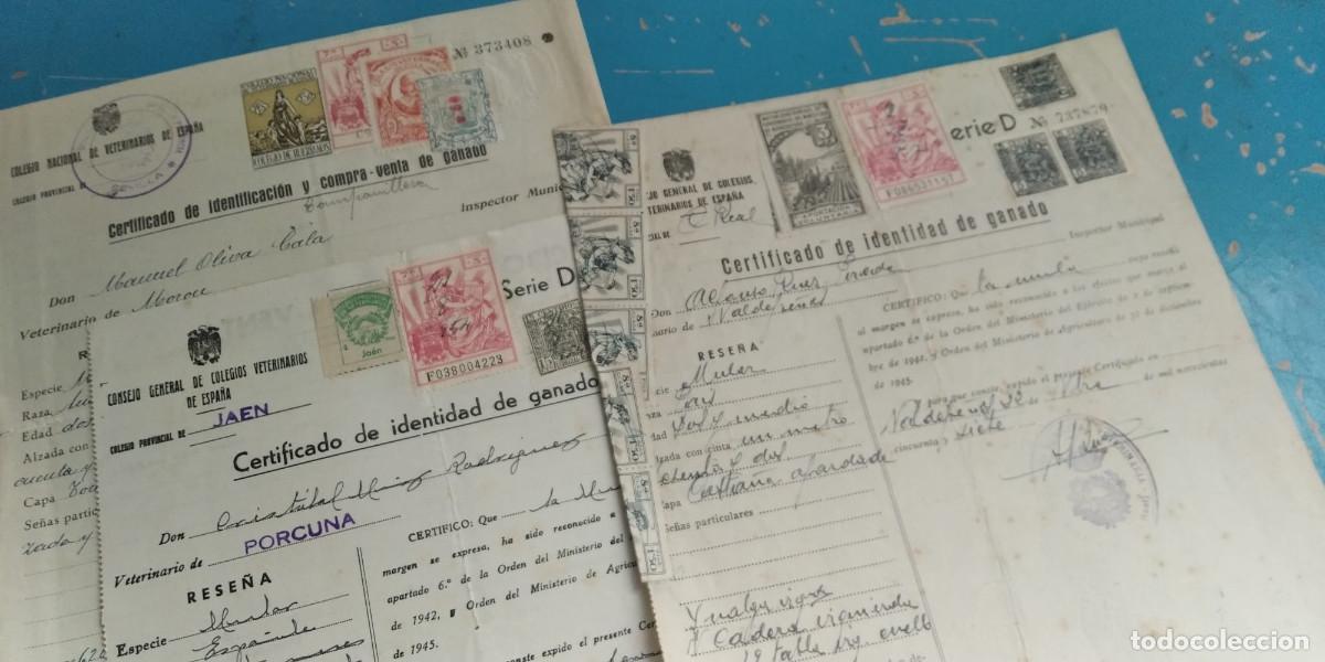 Coleccionismo: Lote de 3 certificados de ganado con raros sellos fiscales y p&oacute;lizas. A&ntilde;os 40