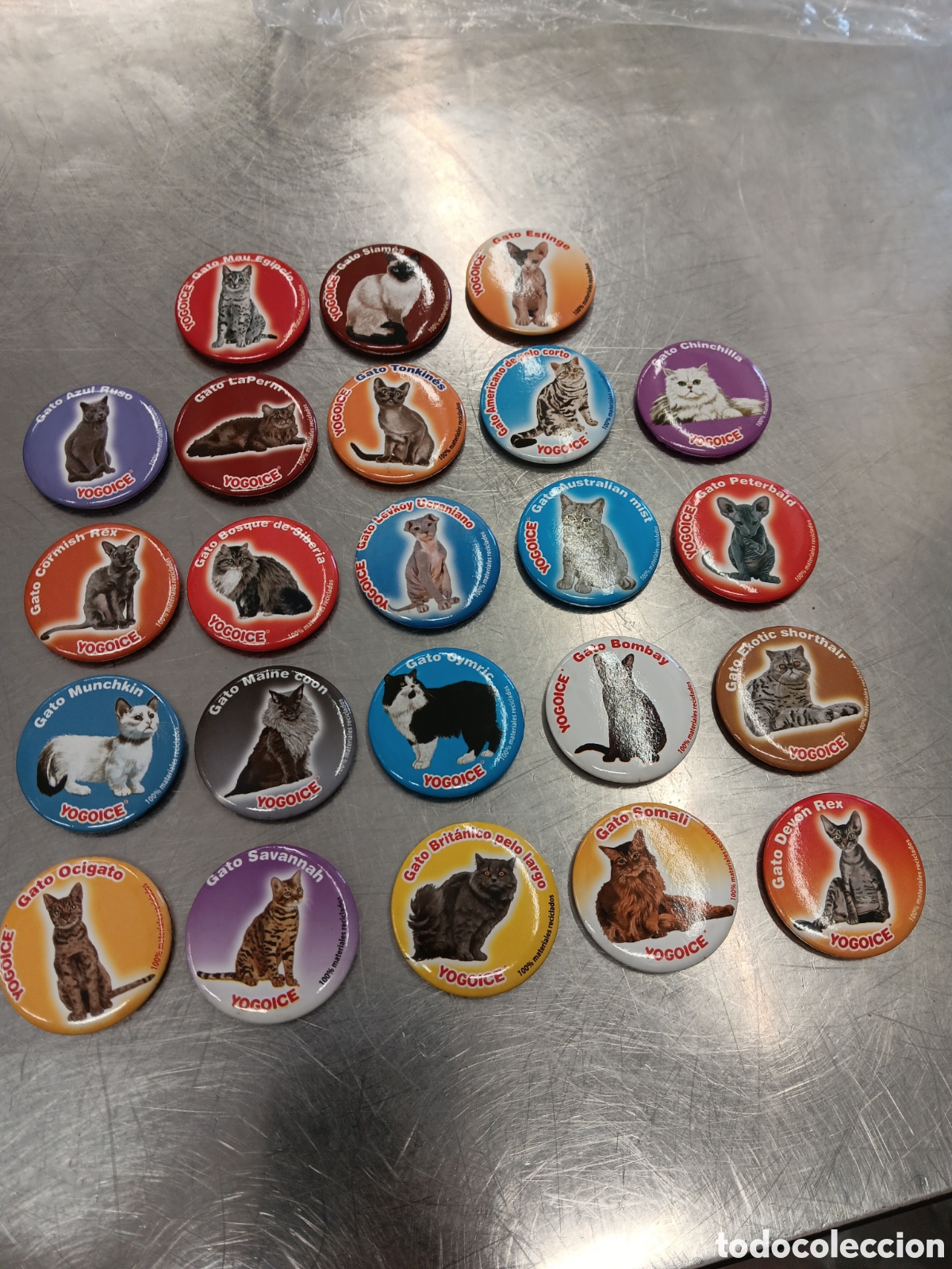 Coleccionismo: Lote de 23 imanes de razas de gatos
