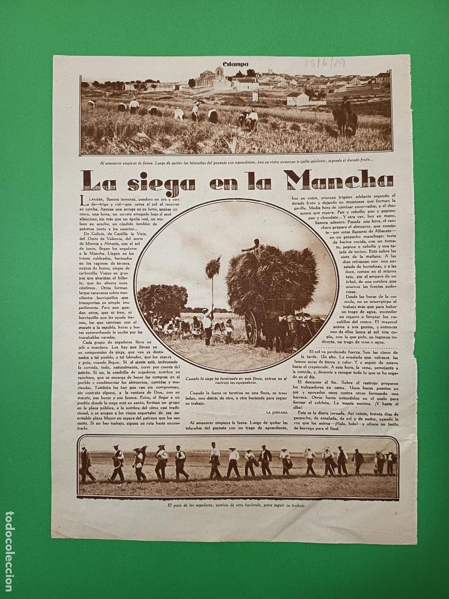 Coleccionismo: LA SIEGA EN LA MANCHA - 25/06/1929
