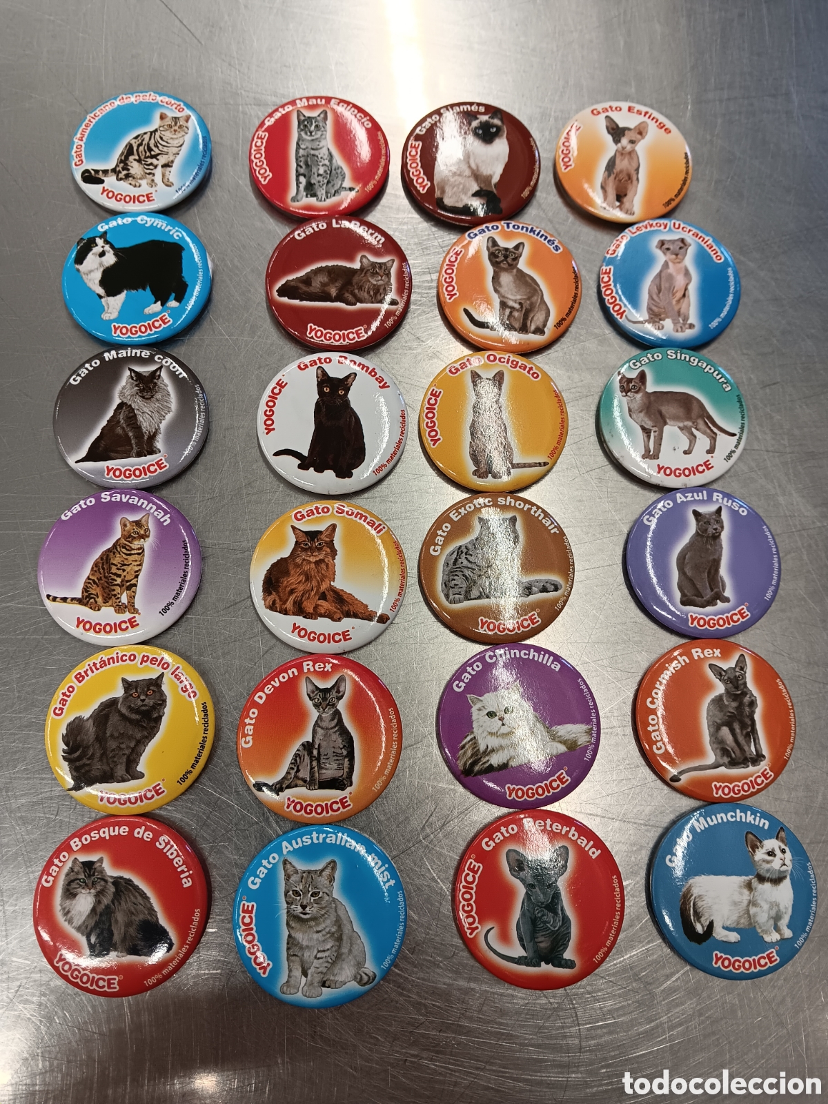 Collectionnisme: Lote de 24 imanes de razas de gatos