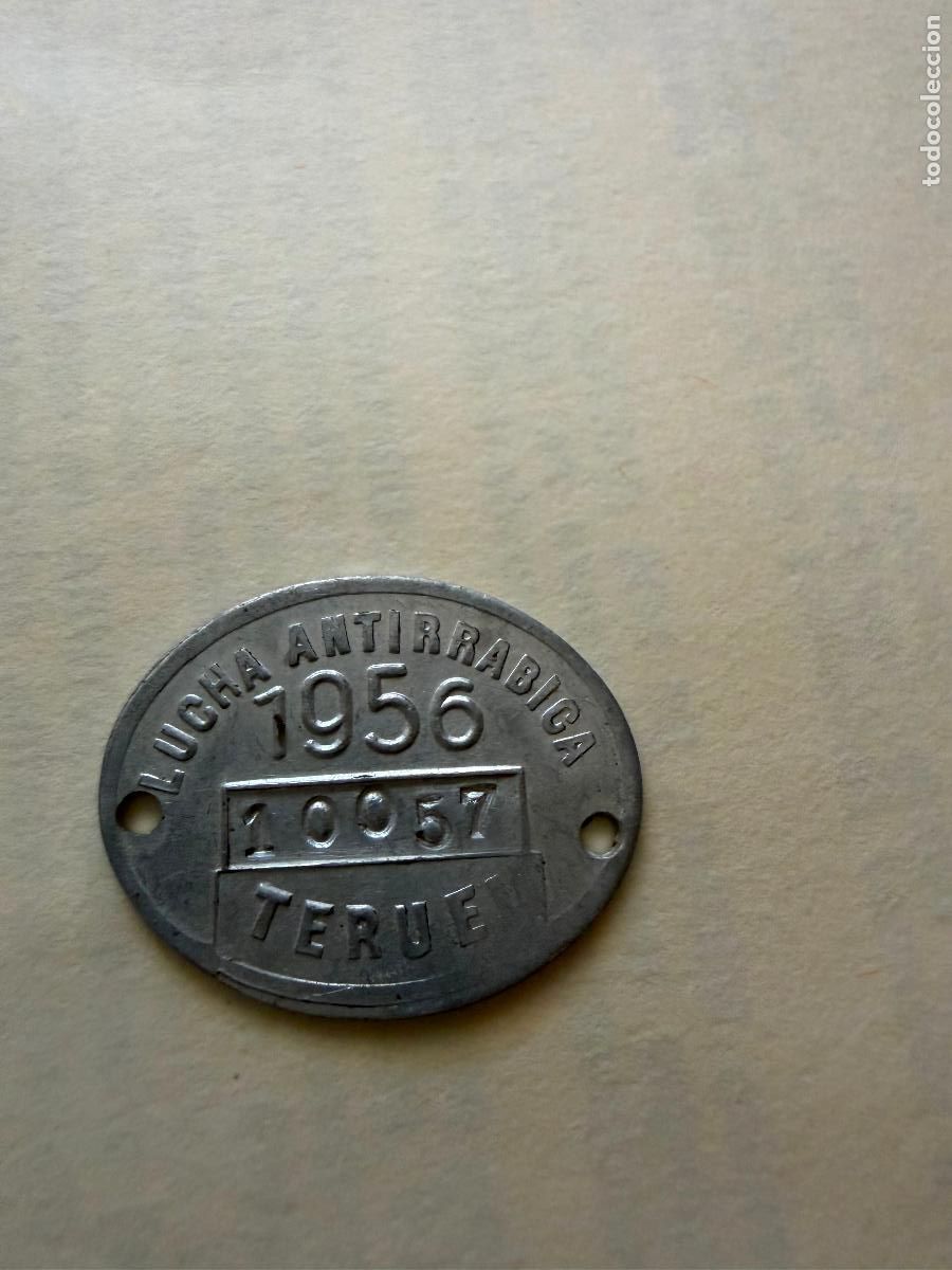 Coleccionismo: Chapa antirrabica teruel 1956