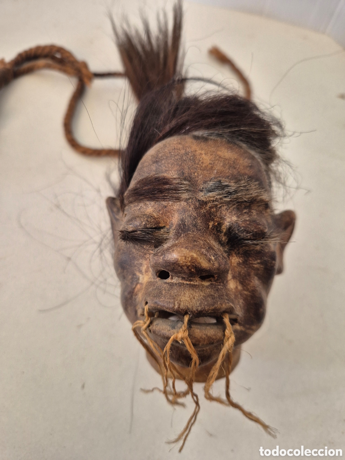 Collezionismo: Cabeza reducida jibaro Amazonas a&ntilde;os 60