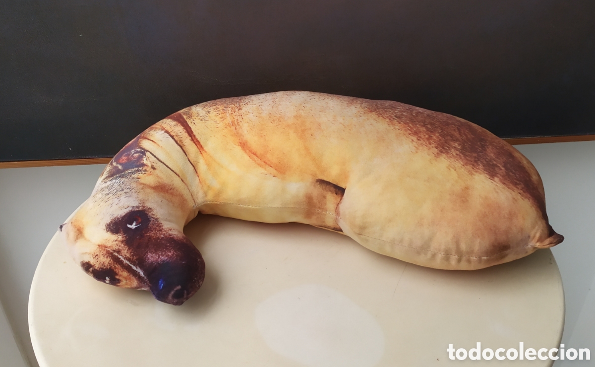 Collecting: Coj&iacute;n perro con cara triste del sof&aacute; de La Revuelta de TVE, mide 46 cm de largo.