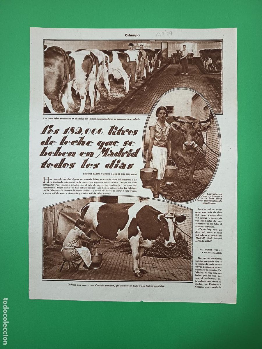 Coleccionismo: LOS 129.000 LITROS DE LECHE QUE SE BEBEN EN MADRID TODOS LOS DIAS REPARTIDORES LECHERAS - 10/09/1929