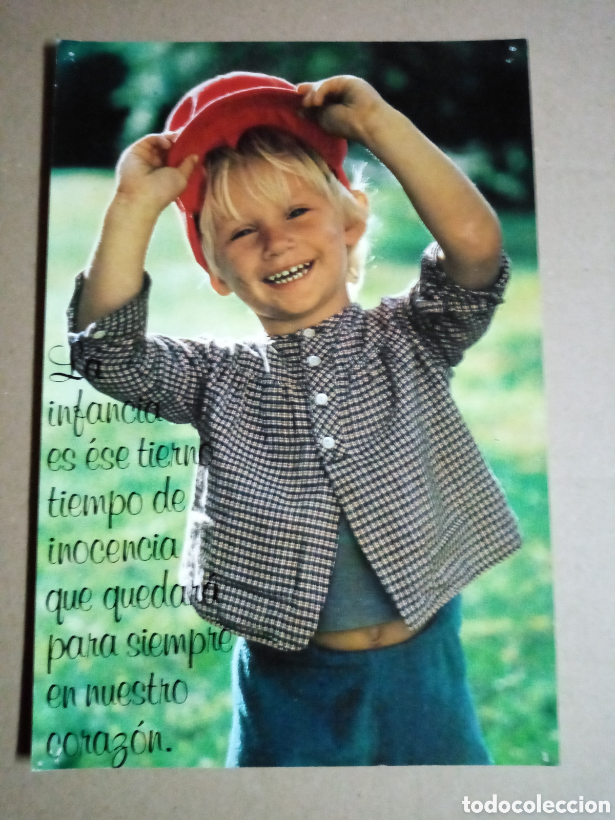 Coleccionismo: L&aacute;mina postal 27x18 cm