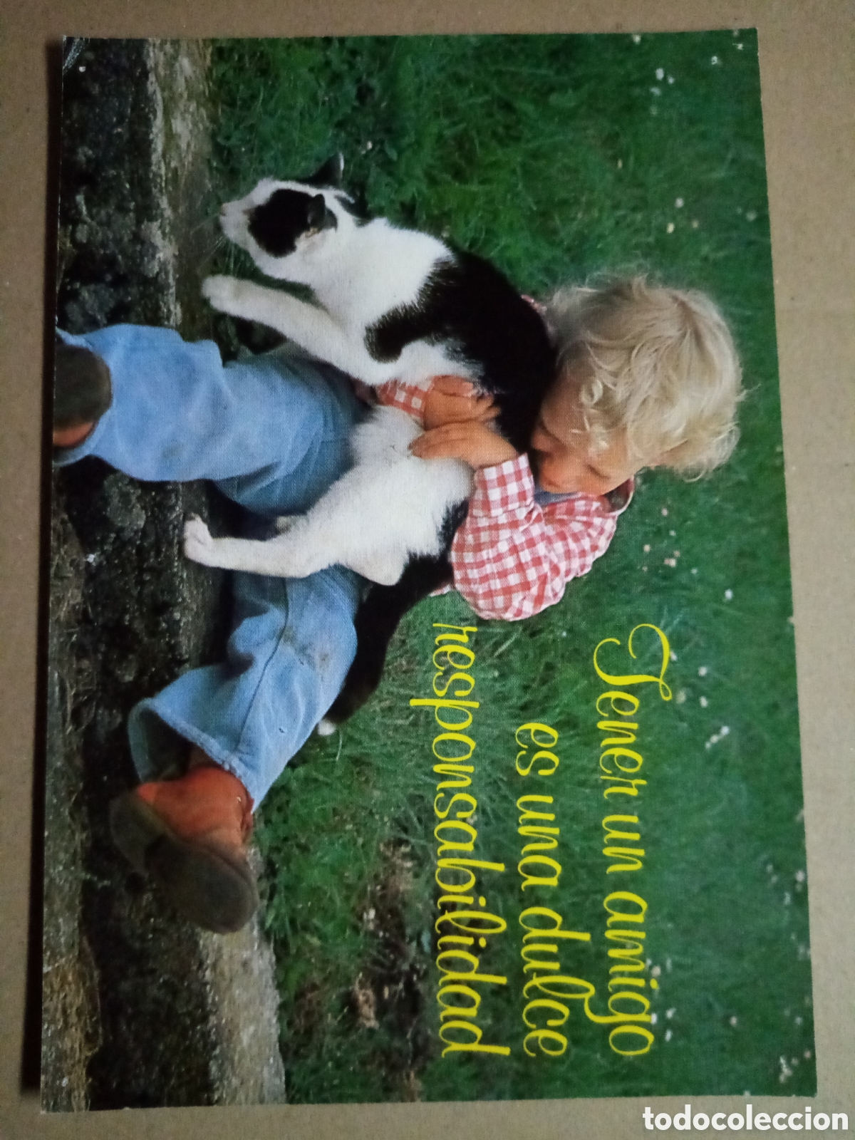 Coleccionismo: L&aacute;mina postal 27x18 cm