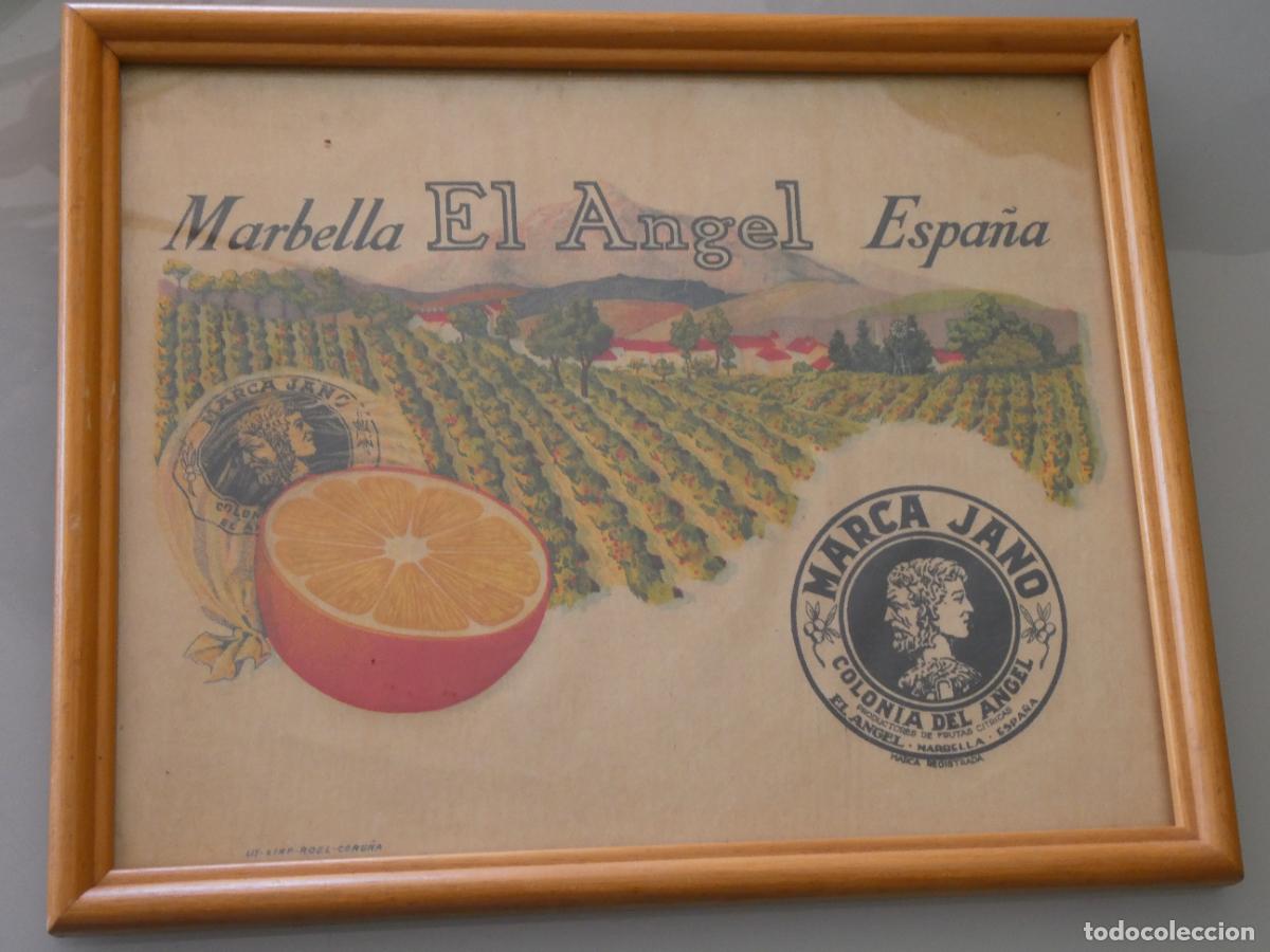 Coleccionismo: CUADRO CON L&Aacute;MINA DE PUBLICIDAD. MARBELLA EL &Aacute;NGEL ESPA&Ntilde;A MARCA JANO FRUTAS C&Iacute;TRICAS NARANJAS. 350GR