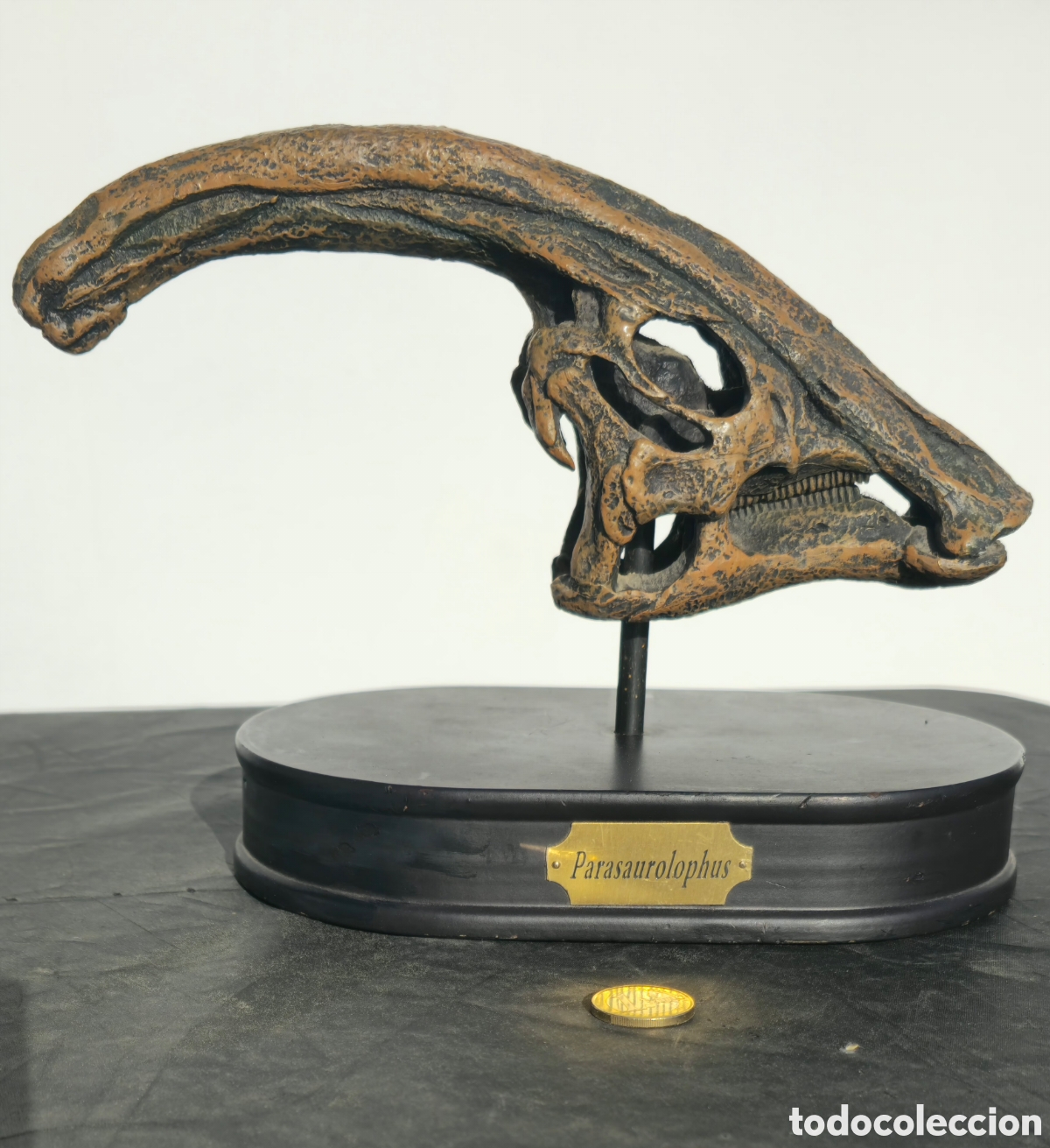 Coleccionismo: Replica Cr&aacute;neo Dinosaurio