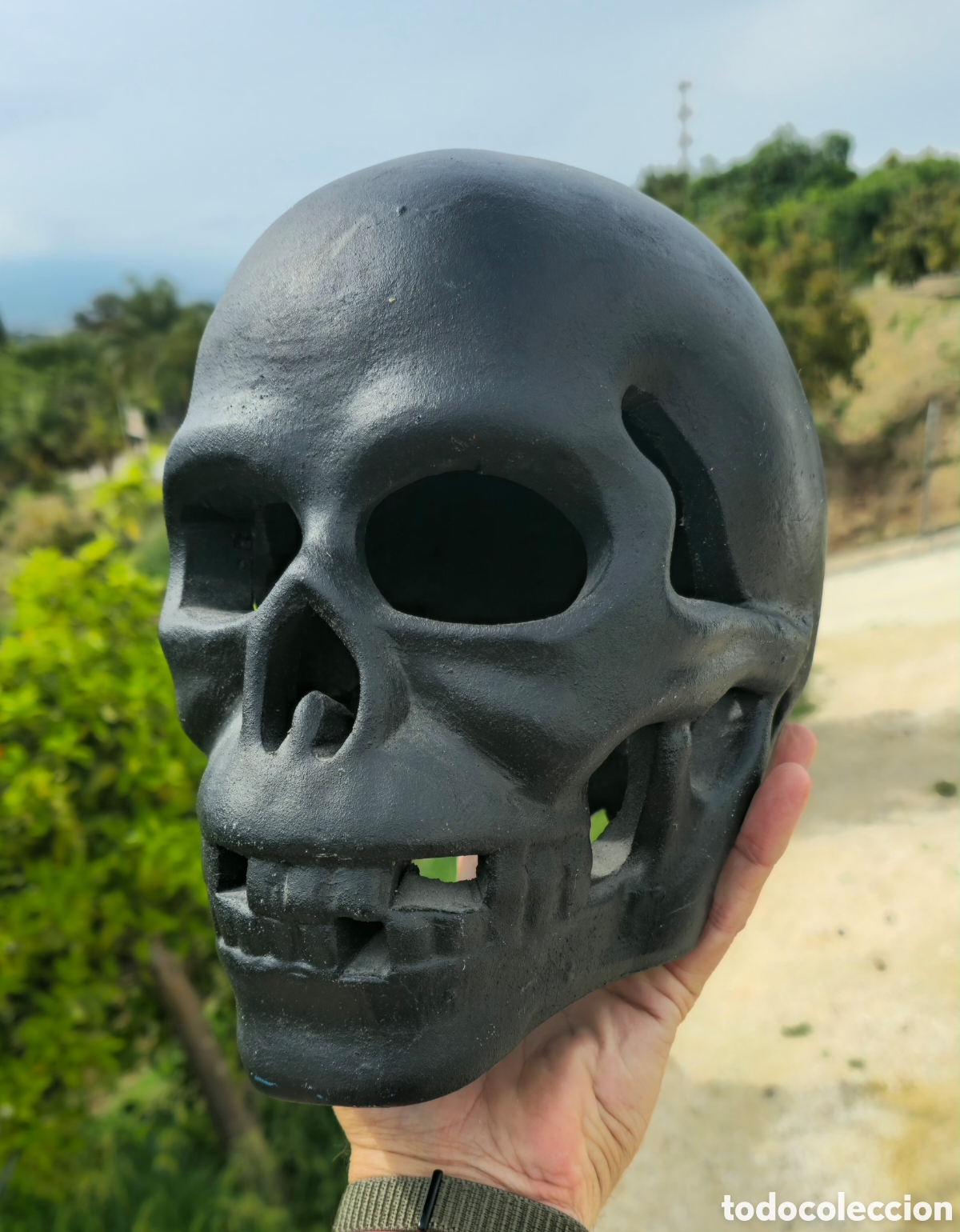 Coleccionismo: Craneo Calavera decorativa