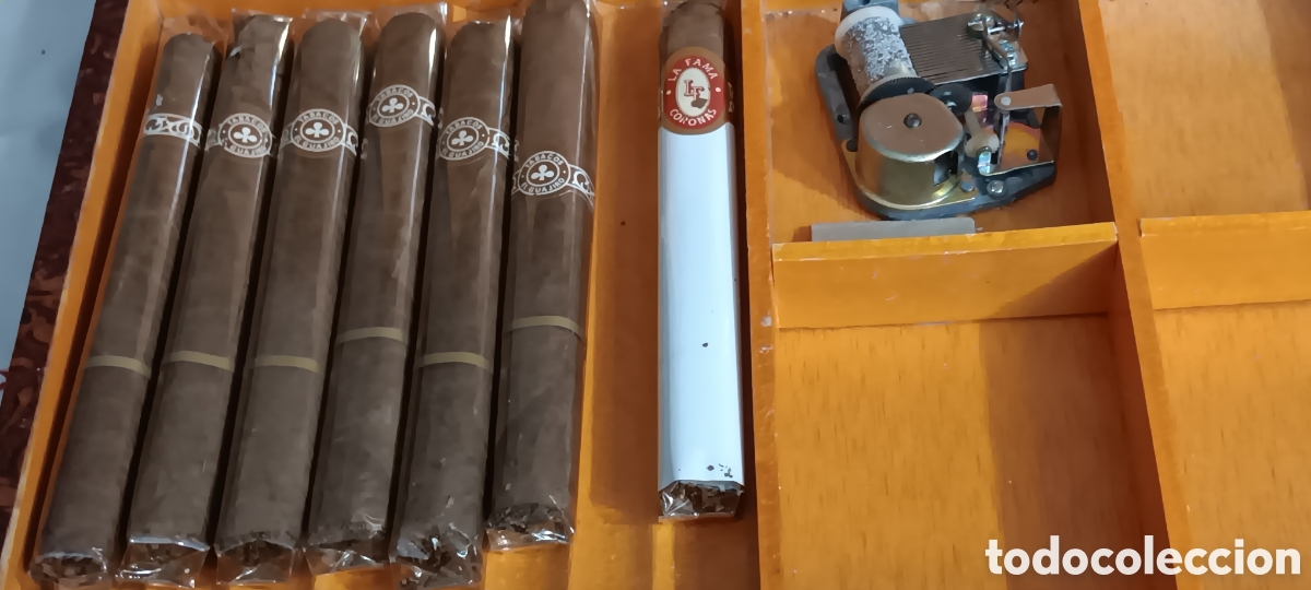 Sammeln: 6 PUROS BREVA EL GUAJIRO.
