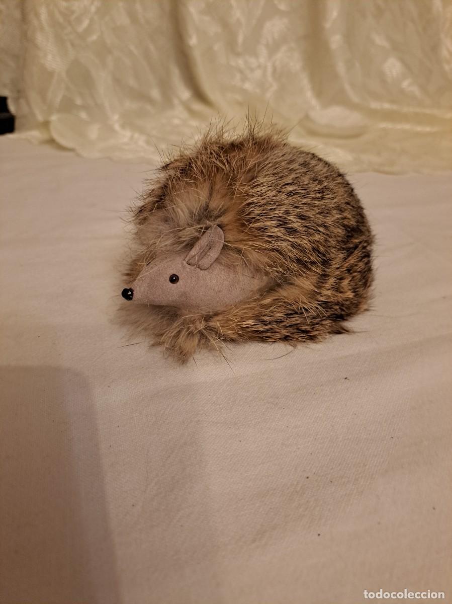 Sammeln: Erizo de pelo de conejo natural y cuero, hecho a mano. ojos de cristal