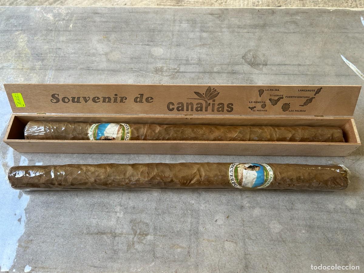 Coleccionismo: Puros gigantes souvenir de Canarias 53 cm