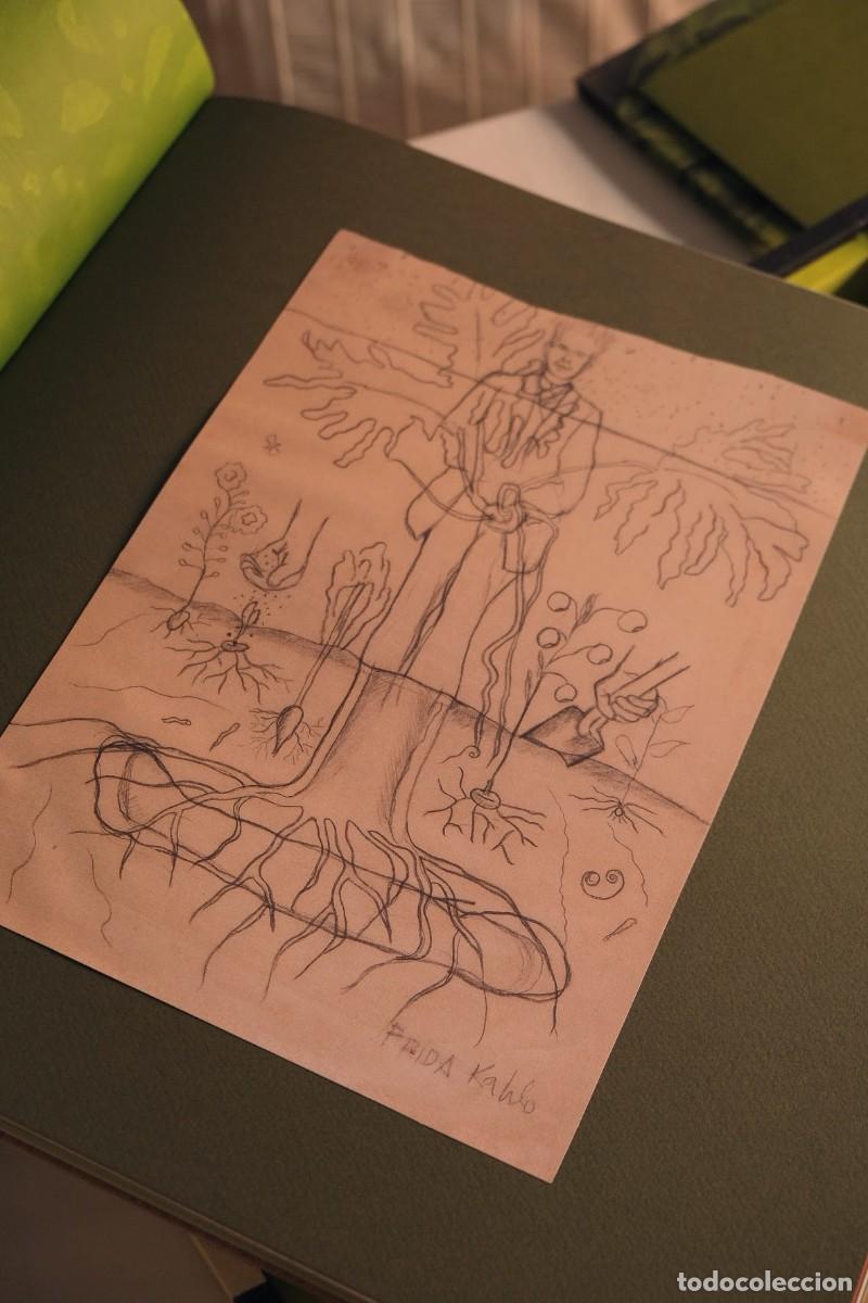 Coleccionismo: Colecci&oacute;n de Frida Kahlo - Foto 8