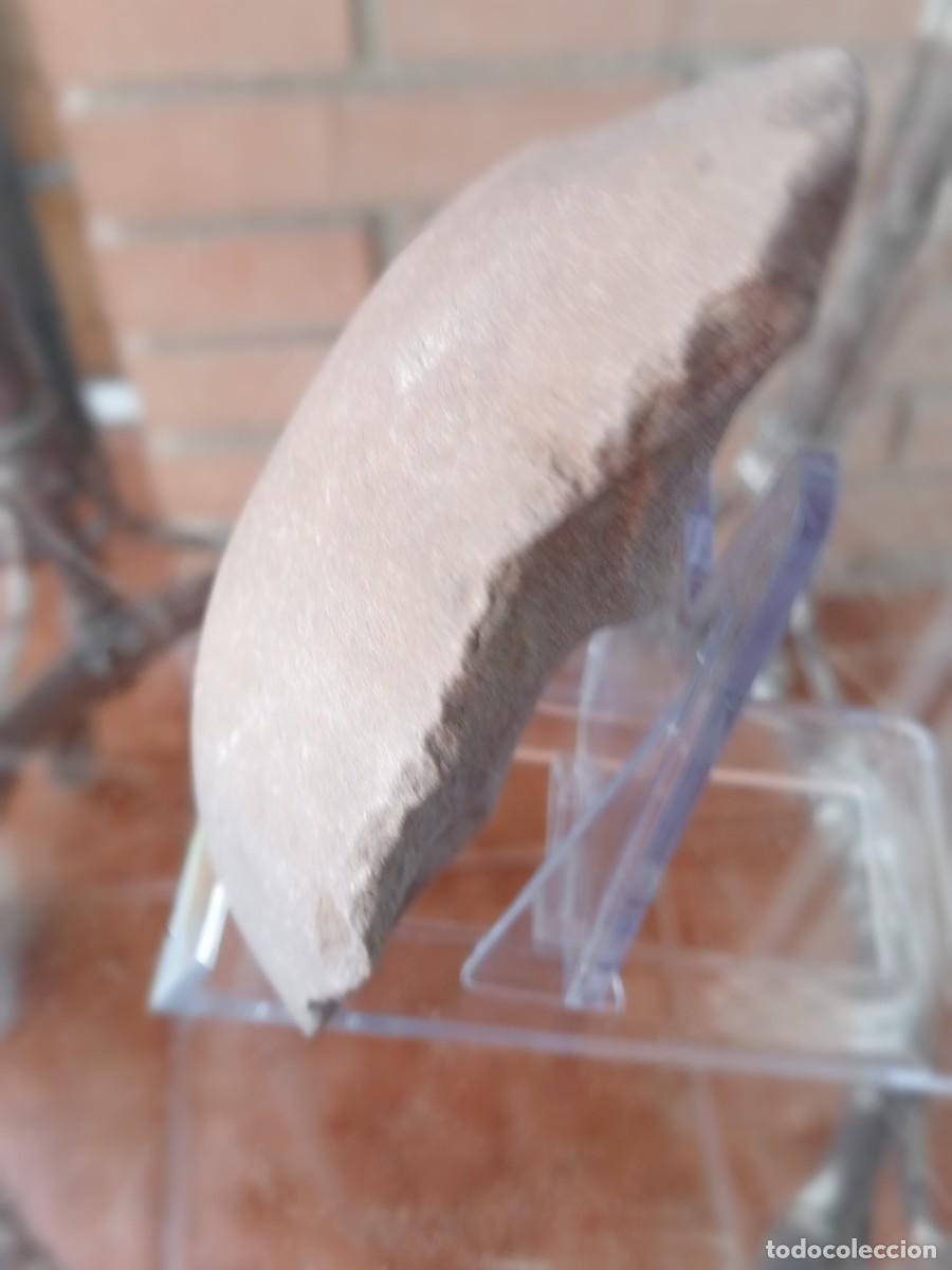 Coleccionismo: Paleol&iacute;tico Gres Biface 135 mm, - Lote 132/1 - Foto 8