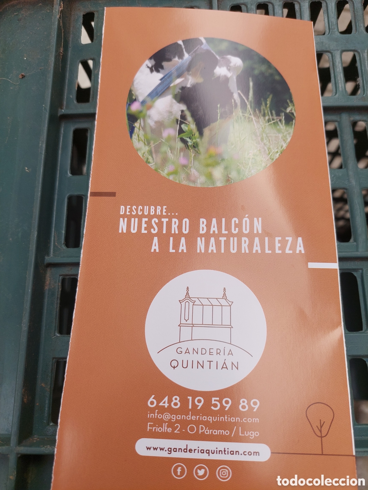 Coleccionismo: Impreso lugo quesos salceda ,leche pais