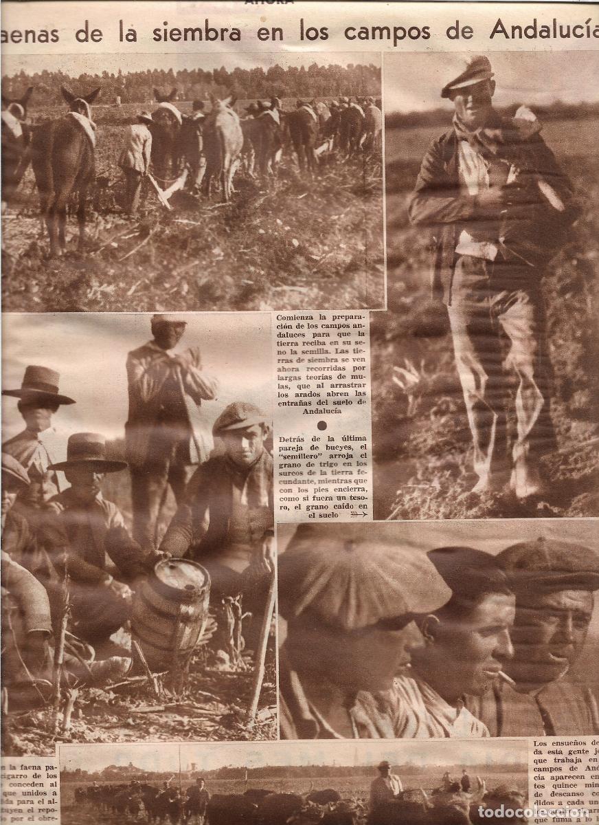Coleccionismo: A&Ntilde;O 1933 RECORTE PRENSA AGRICULTURA FAENA DE LA SIEMBRA EN EL CAMPO DE ANDALUCIA SEMILLERO BUEYES
