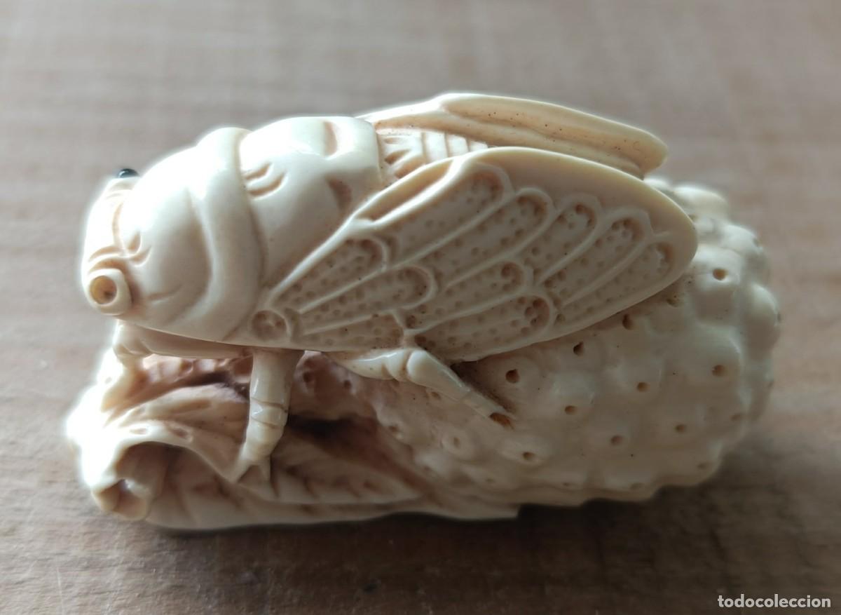 Coleccionismo: Antiguo netsuke esculpido con forma de cigarra firmado de colecci&oacute;n muy raro