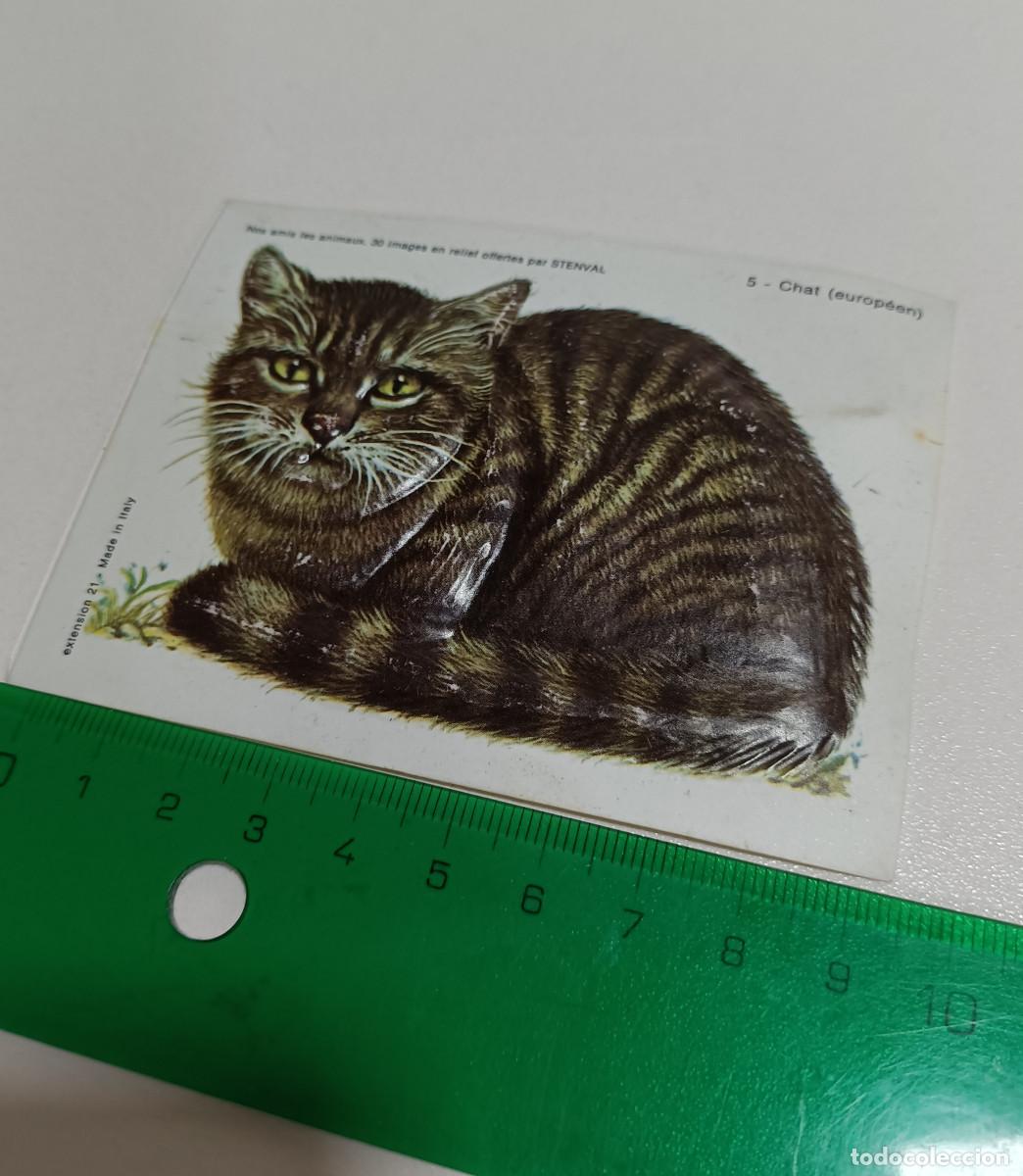 Coleccionismo: animal relieve stenval promocional publicitario antiguo cato chat francia animal animales