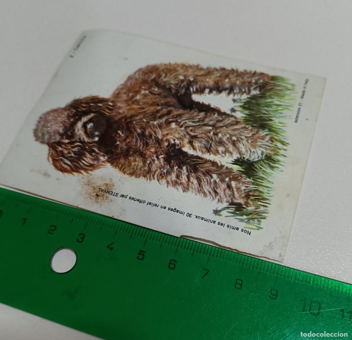 Coleccionismo: animal relieve stenval promocional publicitario antiguo perro caniche francia animal animales