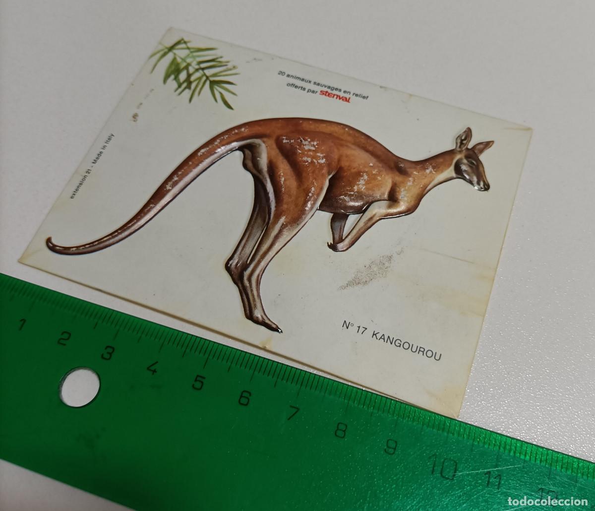 Coleccionismo: animal relieve stenval promocional publicitario antiguo francia animal animales canguro