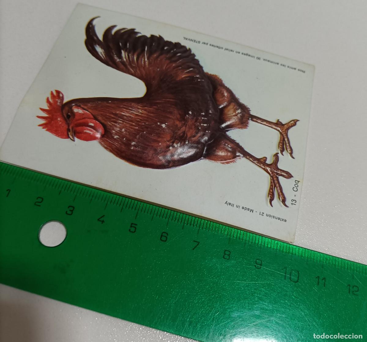 Coleccionismo: animal relieve stenval promocional publicitario antiguo francia animal animales gallo