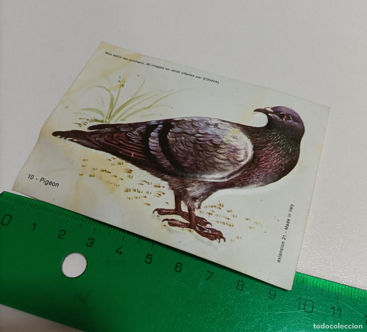 Coleccionismo: animal relieve stenval promocional publicitario antiguo francia animal animales ave paloma pajaro