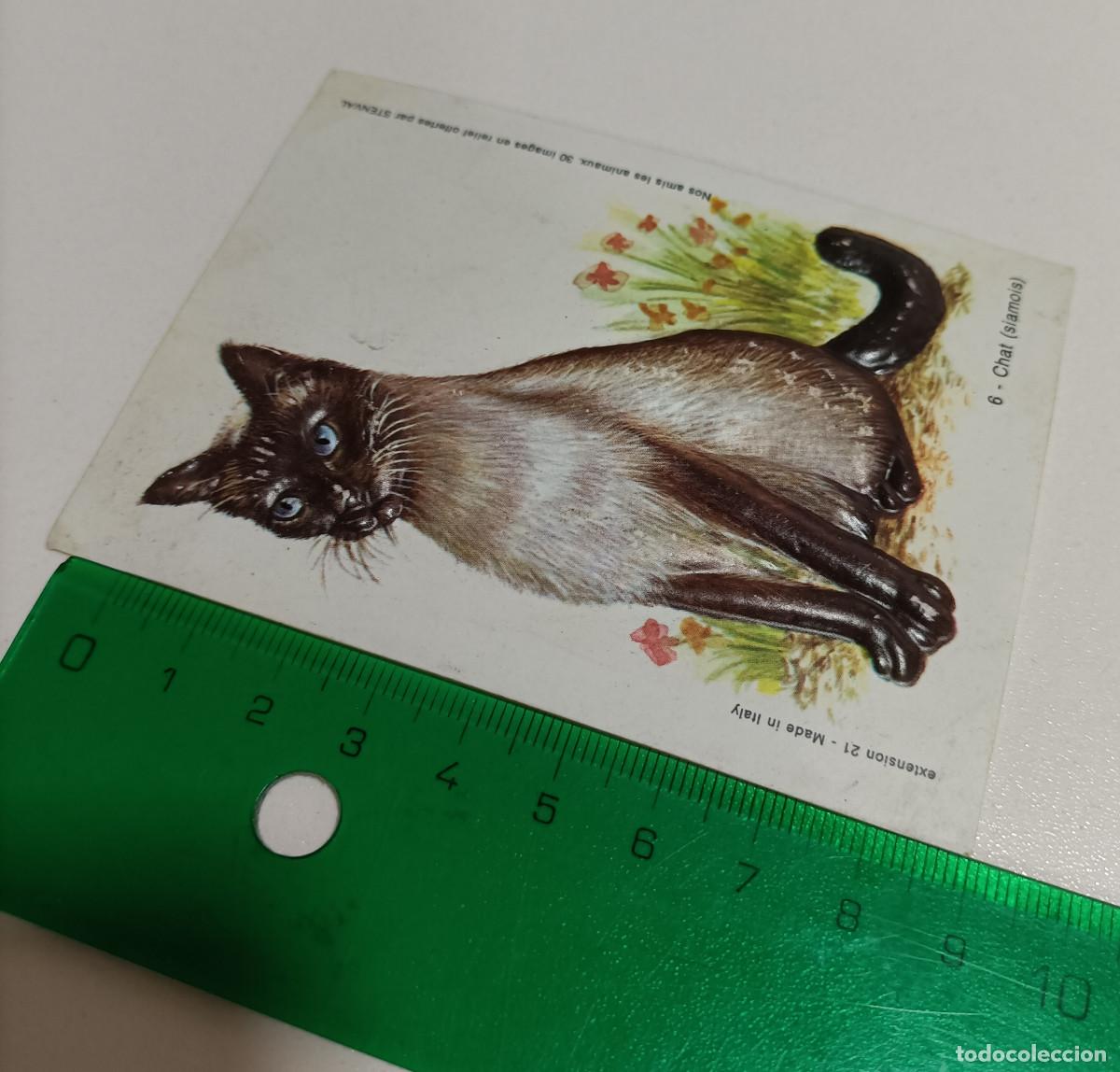 Coleccionismo: animal relieve stenval promocional publicitario antiguo francia animal animales gato gatito