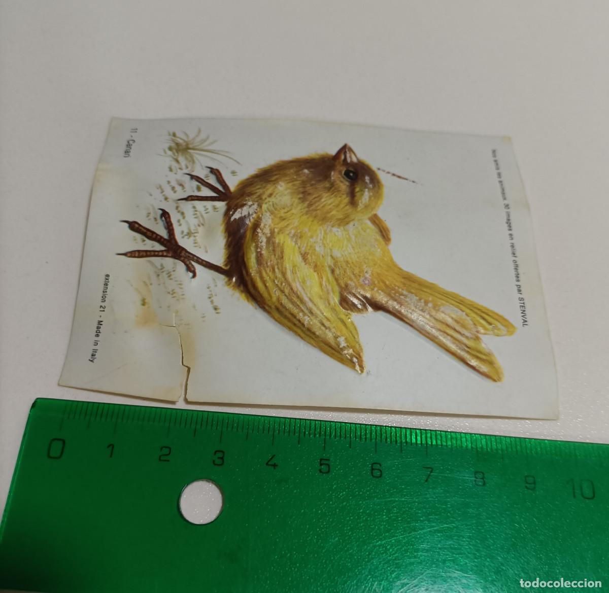 Coleccionismo: animal relieve stenval promocional publicitario antiguo francia animal animales ave pajaro pajarito