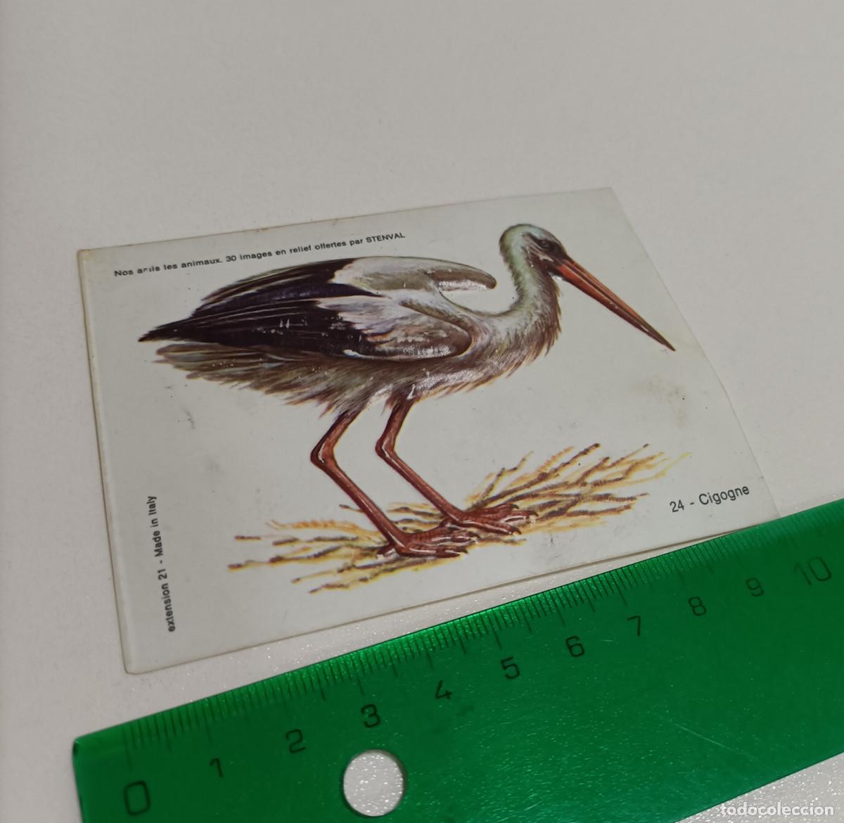 Coleccionismo: animal relieve stenval promocional publicitario antiguo francia animal animales CIG&Uuml;E&Ntilde;A ave pajaro