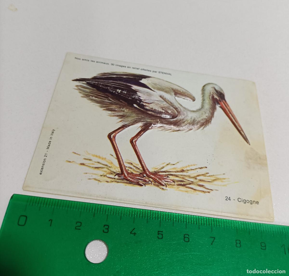 Coleccionismo: animal relieve stenval promocional publicitario antiguo francia animal animales CIG&Uuml;E&Ntilde;A ave pajaro