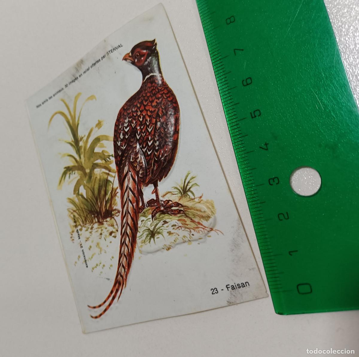 Coleccionismo: animal relieve stenval promocional publicitario antiguo francia animal animales faisan ave pajaro