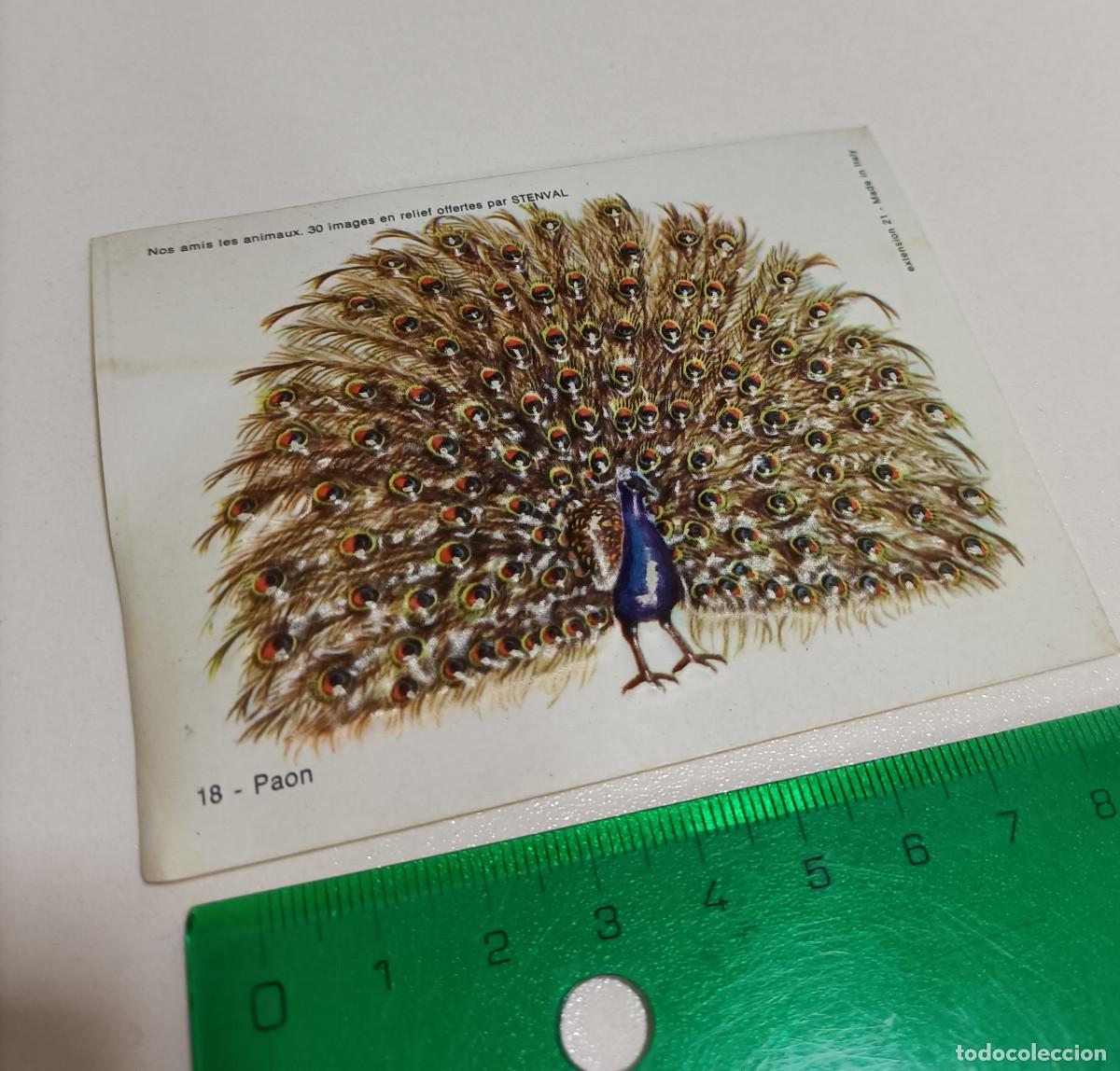 Coleccionismo: animal relieve stenval promocional publicitario antiguo francia animal animales pavo real ave