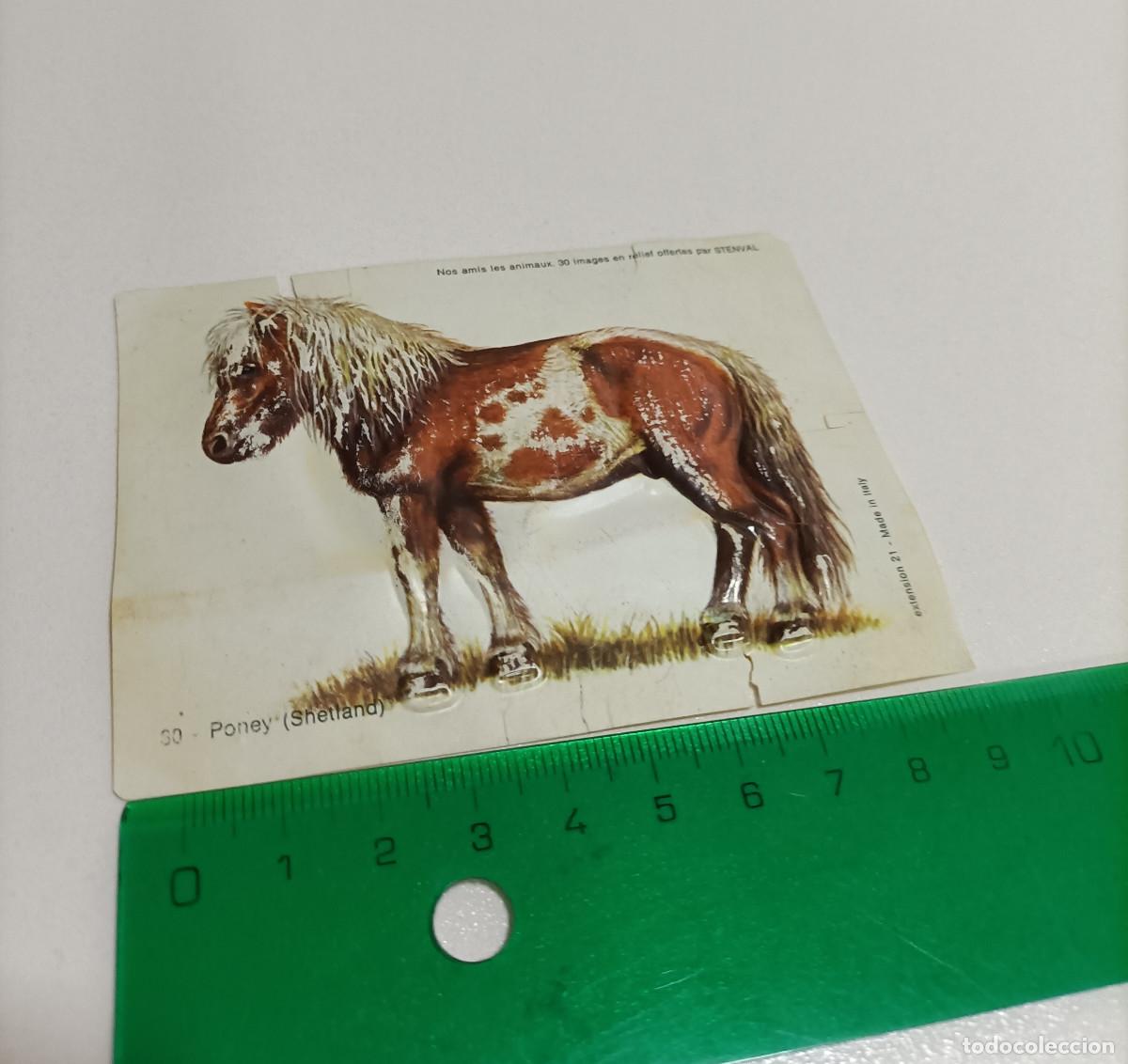 Coleccionismo: animal relieve stenval promocional publicitario antiguo francia animal animales poney pony poni